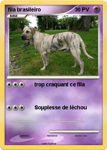 Pokemon fila brasileiro