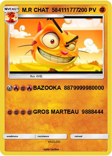Pokemon M.R CHAT  584111777