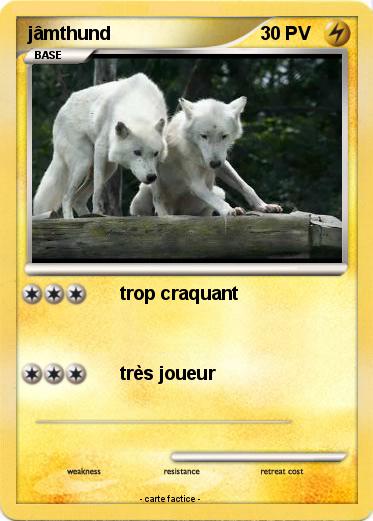 Pokemon jâmthund