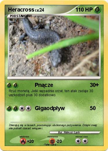 Pokemon Heracross