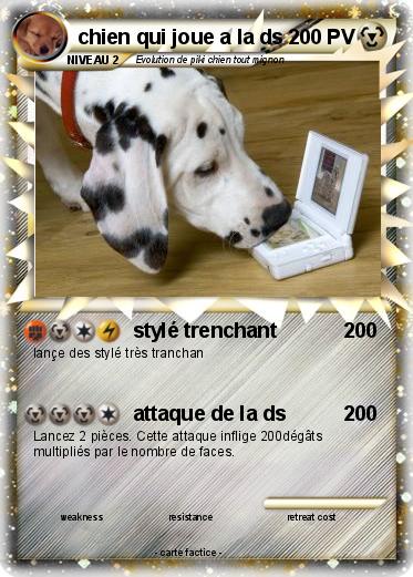 Pokemon chien qui joue a la ds