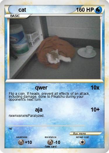 Pokemon cat