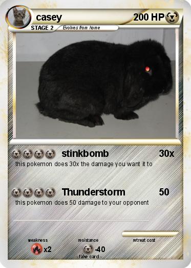 Pokemon casey