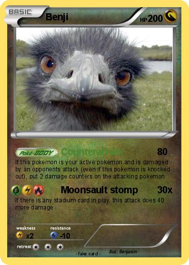 Pokemon Benji