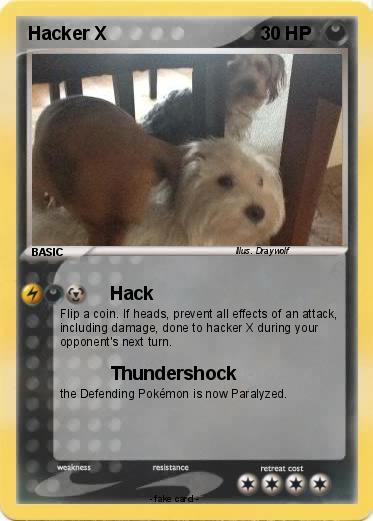 Pokemon Hacker X