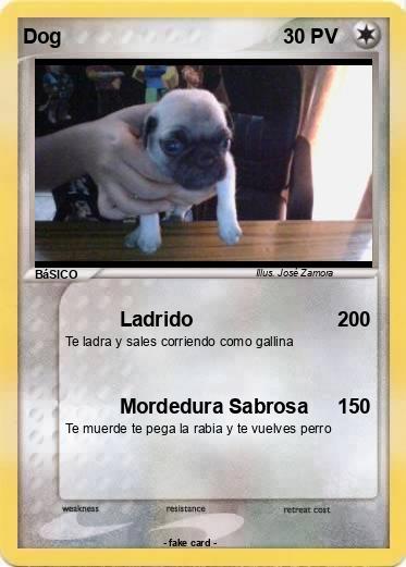 Pokemon Dog