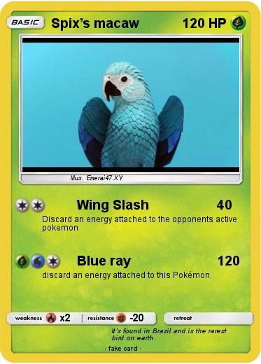 Pokemon Spix’s macaw
