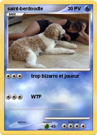 Pokemon saint-berdoodle