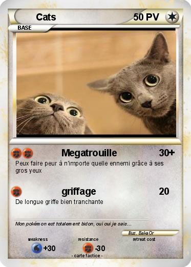 Pokemon Cats
