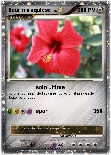 Pokemon fleur miraqulese