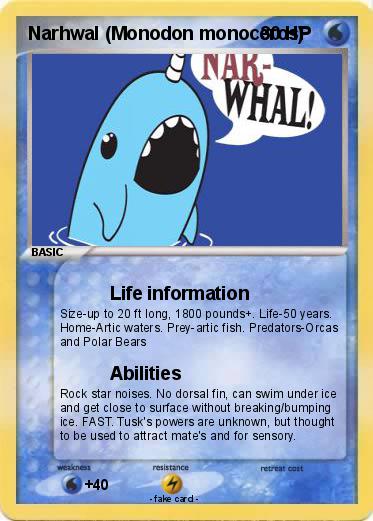 Pokemon Narhwal (Monodon monoceros)