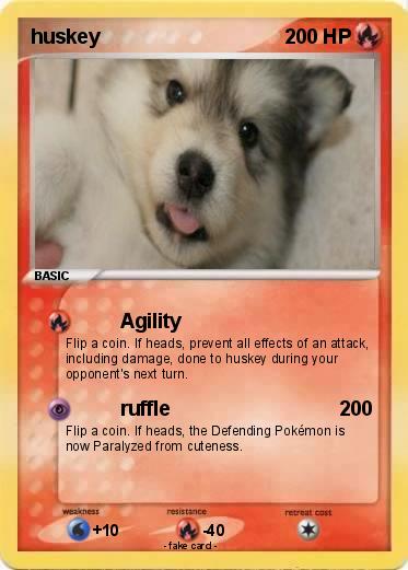 Pokemon huskey