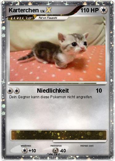 Pokemon Karterchen