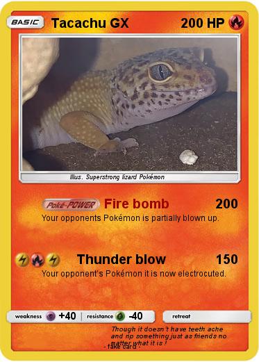 Pokemon Tacachu GX