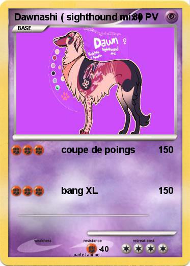 Pokemon Dawnashi ( sighthound mix )