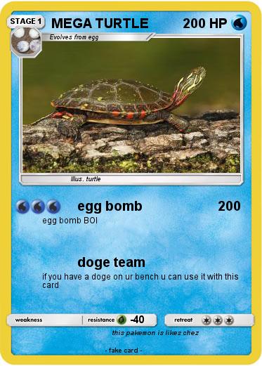 Pokemon MEGA TURTLE