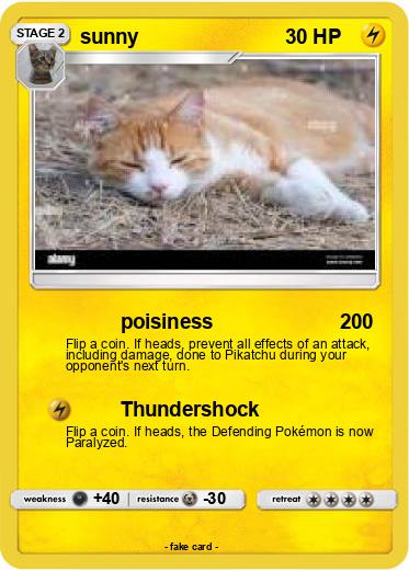 Pokemon sunny