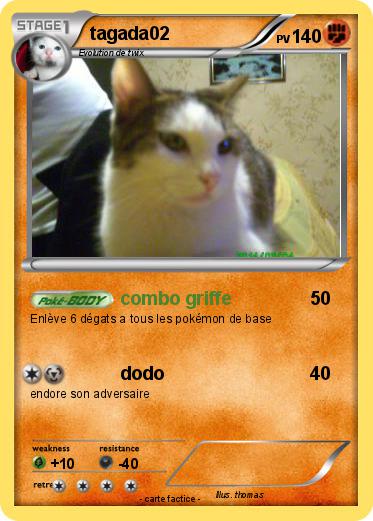 Pokemon tagada02