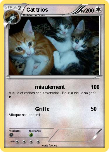 Pokemon Cat trios