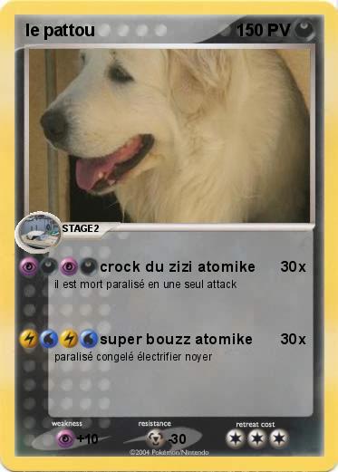 Pokemon le pattou