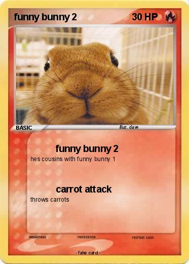 Pokemon funny bunny 2