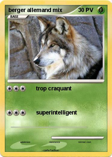 Pokemon berger allemand mix