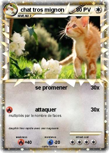 Pokemon chat tros mignon
