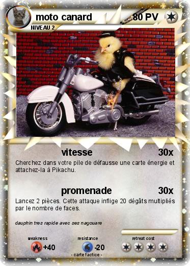 Pokemon moto canard