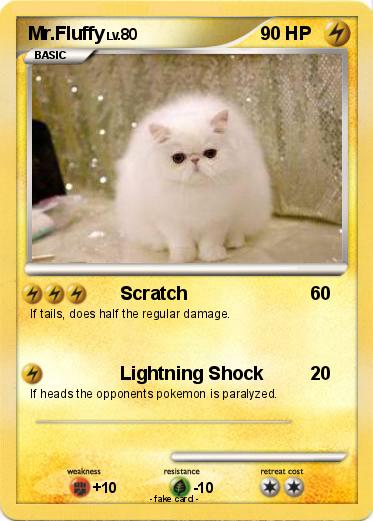 Pokemon Mr.Fluffy