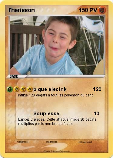 Pokemon l'herisson
