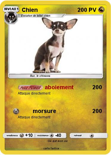 Pokemon Chien