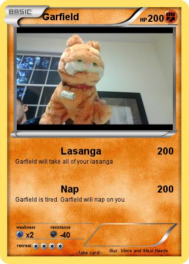 Pokemon Garfield