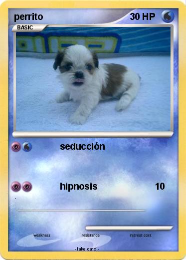 Pokemon perrito