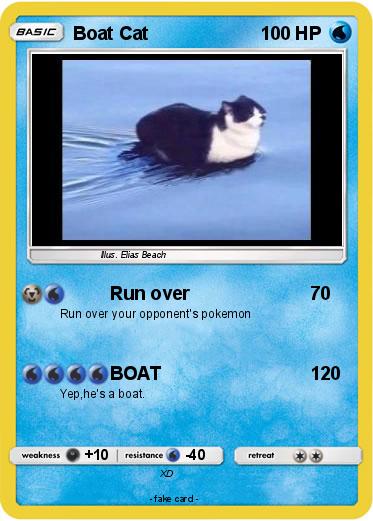 Pokemon Boat Cat