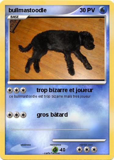 Pokemon bullmastoodle