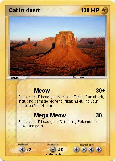 Pokemon Cat in desrt