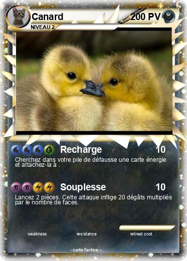 Pokemon Canard