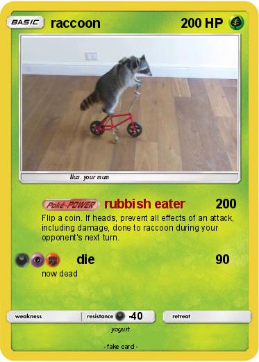 Pokemon raccoon