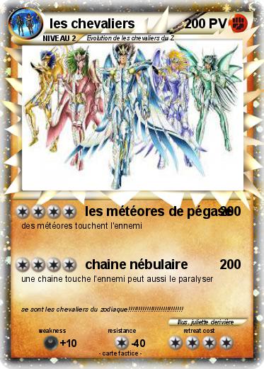 Pokemon les chevaliers