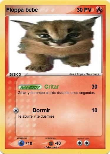 Pokemon Floppa bebe