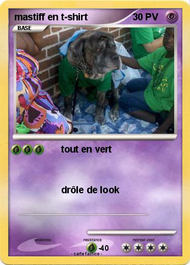 Pokemon mastiff en t-shirt