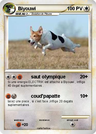Pokemon Biyouwi