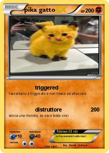 Pokemon pika gatto