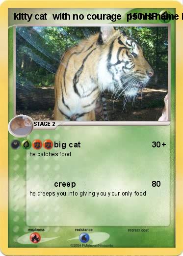 Pokemon kitty cat  with no courage  ps his name is teddy 