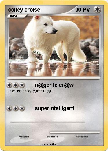 Pokemon colley croisé