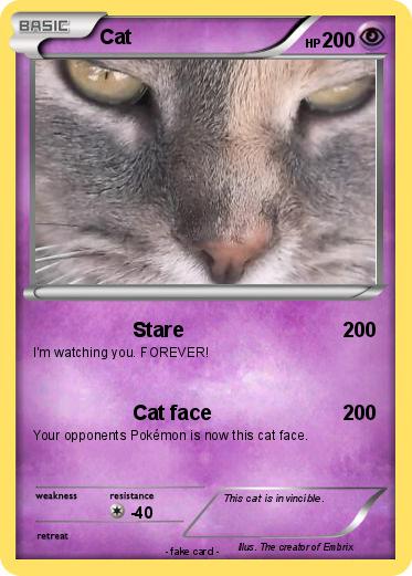 Pokemon Cat