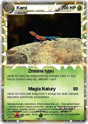 Pokemon Kami