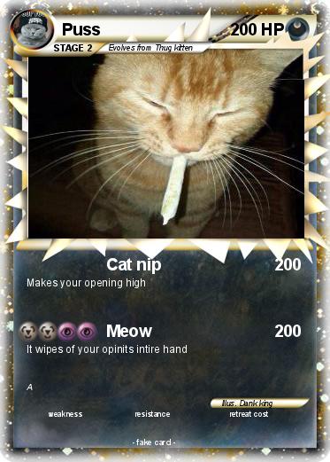Pokemon Puss