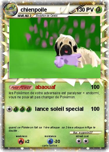 Pokemon chienpoile