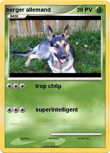 Pokemon berger allemand